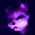 ECH0 X (@ech0x_offical) Twitter profile photo ECH0 X (@ech0x_offical) Twitter profile photo