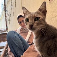 Bee (@yasmeennee) 's Twitter Profile Photo Bee (@yasmeennee) 's Twitter Profile Photo