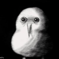 (•_•) (@thisnotcom) 's Twitter Profile Photo (•_•) (@thisnotcom) 's Twitter Profile Photo