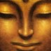 Siddharta Gautama (@gautama17766) Twitter profile photo Siddharta Gautama (@gautama17766) Twitter profile photo