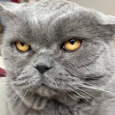 Quantor69's profile picture. 