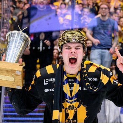 Perk5n's profile picture. Skelleftesupporter in i döden