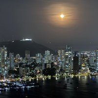 NuancedIntellect (@bobbiemartins75) 's Twitter Profile Photo