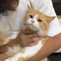 yomi. (@cbagas376) 's Twitter Profile
