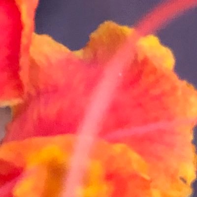 SpardaNode's profile picture. Community moderator//community shiller//community hypemod. 24 hours Active. Marketer Admin DM Me Any Business inquiries . #BTC #BNB