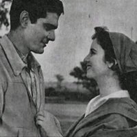 Sara🍓 (@sarahas62190835) Twitter profile photo