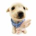 jayvik da silva de medeiros r cane (@femjaycetalis) Twitter profile photo jayvik da silva de medeiros r cane (@femjaycetalis) Twitter profile photo