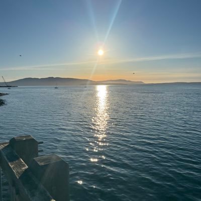 scottapattison's profile picture. 