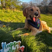 Eli Begg (@elizabeth_begg1) 's Twitter Profile