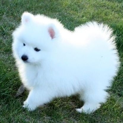 Rabbi927's profile picture. 