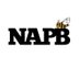 nap brace (@napb_9) Twitter profile photo nap brace (@napb_9) Twitter profile photo
