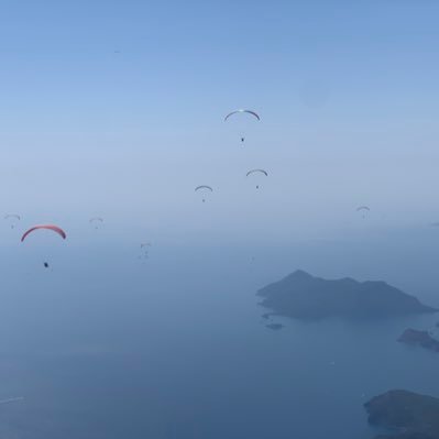 mehmetdelebe's profile picture. 