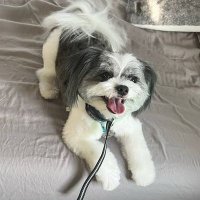 JERRY (@lindajerry10882) 's Twitter Profile