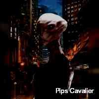 Pips Cavalier (@cavalier_ips) 's Twitter Profile
