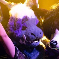 Fangs (@fangsmeier) 's Twitter Profile