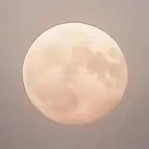 lYM10XAUcX53481's profile picture. 