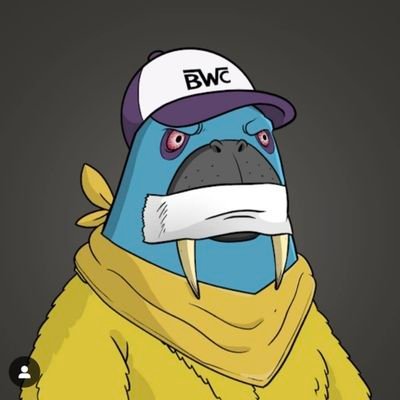Walrusmanbear's profile picture. 