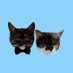 Lox and Latke (@loxandlottie) Twitter profile photo Lox and Latke (@loxandlottie) Twitter profile photo