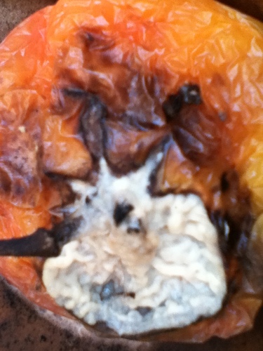 fundingbase's profile picture. Rotten Orchard @Pollutico