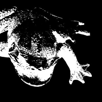 CattledogOps's profile picture. I am allegedly a human.