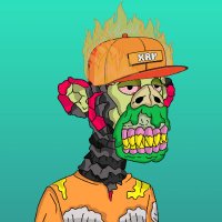 D! (@diegorackz) 's Twitter Profile Photo