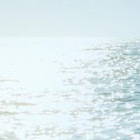 بندر بن محمد العتيبي (@bndr_mhmd33289) Twitter profile photo
