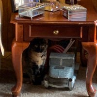 Robert Cox (@robman1938) 's Twitter Profile