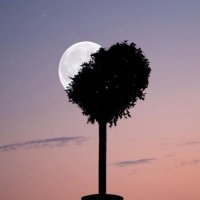 Desaster (@xproduktdown) 's Twitter Profile