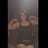JazTheHartless's profile image