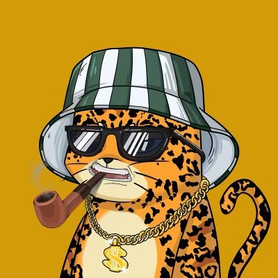 m8rphyy's profile picture. catdad 🐱