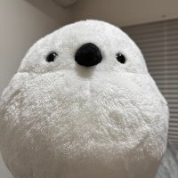 hato (@hatopoppo082) 's Twitter Profile