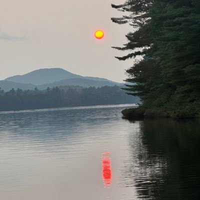 __Blue__Wolf__'s profile picture. Explorer. Adventurer. Learner. Forest spirit.