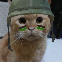Dinsky π (@easywangy) 's Twitter Profile