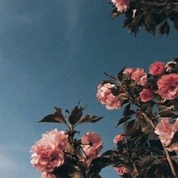 wanderlust (@iamwani79) 's Twitter Profile