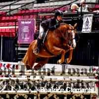 Beatrice Clements (@clementsbeaari) 's Twitter Profile