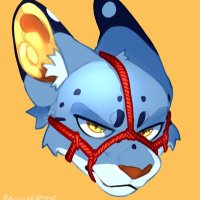 ekolt (@_ekolt) 's Twitter Profile