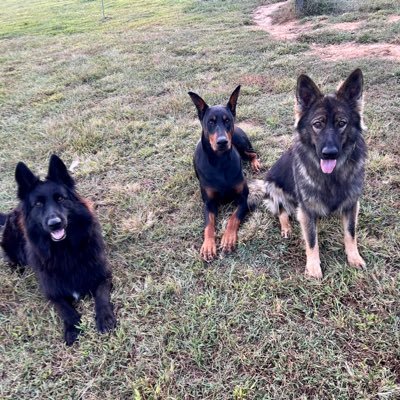Alaina257379267's profile picture. 