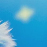 さっこ (@lightblue_1231) 's Twitter Profile