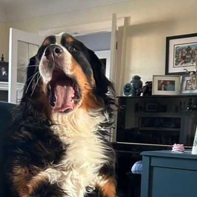 Forever a Newfoundlander~Former Torontonian~Mostly Immature~Moderately Political~Mildly Funny~#HamOnt is Home ❤️ на хуй путін