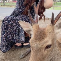 まりか (@mari_gpaipai) 's Twitter Profile