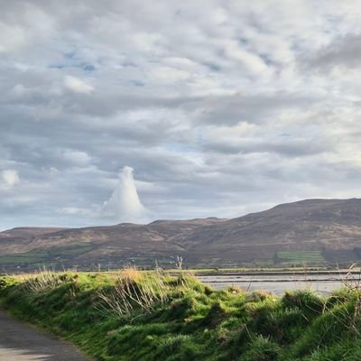 mziq98's profile picture. 