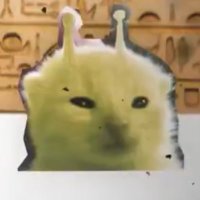 しぐれ (@000_____000__0) Twitter profile photo