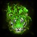 tigerda1406 (@tigerda1406) Twitter profile photo tigerda1406 (@tigerda1406) Twitter profile photo