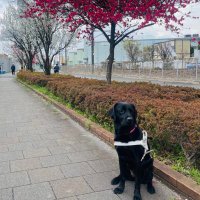 鈴木加奈子 (@kanancy0912) 's Twitter Profile Photo