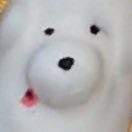 frozen_edamame's profile picture. 