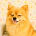 ねんねこねこ丸 (@nmnmnnnmaru) Twitter profile photo ねんねこねこ丸 (@nmnmnnnmaru) Twitter profile photo
