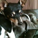 Natalie Prater - @NattyWitch - Twitter