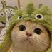 aviate pine (@csui) Twitter profile photo aviate pine (@csui) Twitter profile photo