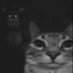 Yasser Lopez (@yasser_lop7442) Twitter profile photo Yasser Lopez (@yasser_lop7442) Twitter profile photo