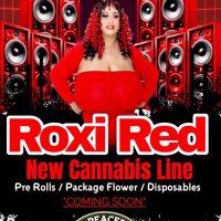 Nelly🎥Long And Roxi⭐️Red Empire (@nelly____long) 's Twitter Profile Photo Nelly🎥Long And Roxi⭐️Red Empire (@nelly____long) 's Twitter Profile Photo